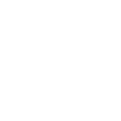 SG Dynamo Dresden - ein Kunde der adsbe Performance Marketing Agentur aus Dresden