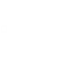egocentric Systems - ein Kunde der adsbe Performance Marketing Agentur aus Dresden