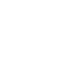 splash! Festival - ein Kunde der adsbe Performance Marketing Agentur aus Dresden